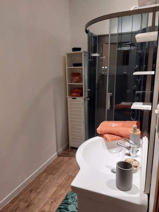Appartement Proche Des Parcs Vichy Exterior foto
